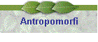 Antropomorfi