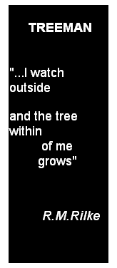 Casella di testo: &nbsp;mTREEMAN

"...I watch outside 
and the tree within 
&nbsp;&nbsp;&nbsp;&nbsp;&nbsp;&nbsp;&nbsp;&nbsp; of me 
&nbsp;&nbsp;&nbsp;&nbsp;&nbsp;&nbsp;&nbsp; grows"
&nbsp;
&nbsp;&nbsp;&nbsp;&nbsp;&nbsp;&nbsp; R.M.Rilke
&nbsp;
