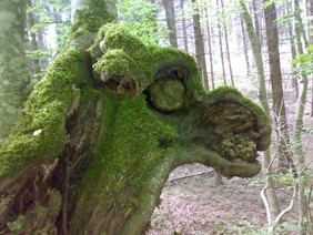 120620101638.jpg