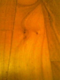 200902120741_241.jpg
