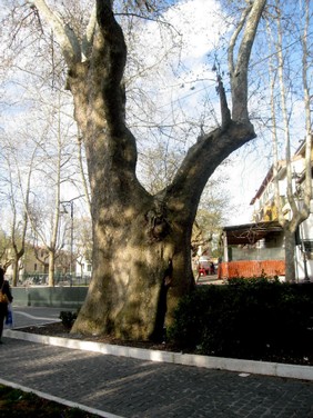 2010 03 20 grottaferrata1.jpg
