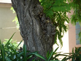 DSC08074.JPG