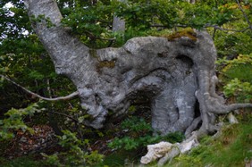 DSC_0069.JPG