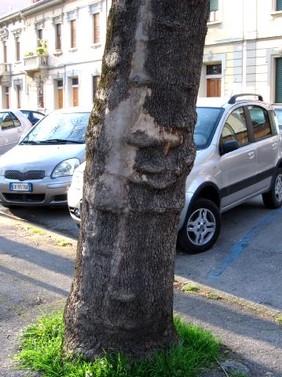 Doppio Totem.jpg