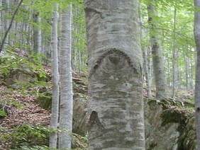 Immagine 006.jpg