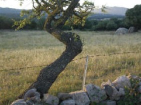 Immagine 043.jpg