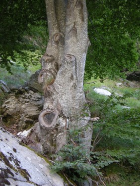 Immagine 44.jpg