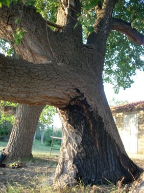 dscn2341.jpg